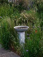 Bird bath edged in quaking grass - Briza maxima