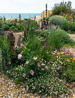 An exposed seaside garden laid to shingle. Planting include Erigeron glaucus, rugosa roses and driftwood sculptures