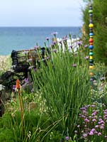 Tragopogon porrifolius and Armeria maritima- salsify, sea thrift - in seaside garden. Totem poles made by local ceramicist Lynne Waylen.