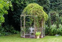 A metal gazebo covered with clematis provides a shady seating area.