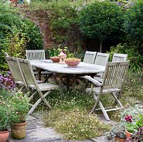 An enclosed patio seating area with wooden garden furniture surrounded by containers and Erigeron karvinskianus.