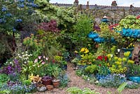 Gravel path leads between pots of tulips and self seeded forget-me-nots, euphorbia, maple, heuchera, pansy, hosta and erysimum. Artist owner has built an oriental raku-tiled mirrored wall.