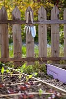 Hand fork and trowel hanging on a picket fence beside vegetable raised beds.