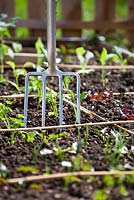 Garden fork in a vegetable raised bed planted with seedlings.