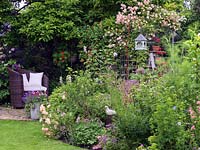 A secluded seating area under a Magnolia tree. In the foreground a mixed border of cottage garden plants including roses, Astrantia, alliums, fennel, Penstemon. 