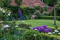 A neat lawn with box edged borders and paths. Planting includes Allium 'Globemaster' and 'Nigrum', Paeonia 'Sarah Bernhardt', Rosa 'Alberic Barbier' with Hostas planted against a shady wall.