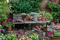 A container garden and collection of Victoriana in the corner of the walled garden. Plants in pots include viola, pelargonium, dianthus, thymus and succulent sedum.