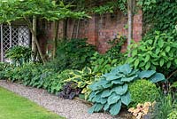 A shady border with Hosta 'Blue Angel' on the right, Hosta 'Patriot' far left, Alchemilla mollis, Geranium 'Johnson's Blue', heuchera and white foxgloves.