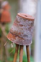 Small terracotta pots as cane tops to protect eyes.
