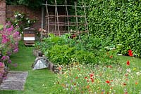 A small wildflower meadow of daisies, poppies, toadflax, clover, cow parsley and cornflowers sown in the middle of a lawn beside raised vegetable beds planted with potatoes, rhubarb and beans. Beyond, is a working bee hive.