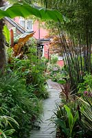 A town garden with tropical borders of foliage plants and perennials including Musa, Fargesia and Cordyline.