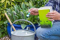 Adding soluble plant feed to watering can