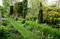 Country garden in late spring with planting of euphorbia characias, buxus hedge, tulipa, berberis, cornus juniperus. Docwra's Manor, Hertfordshire 