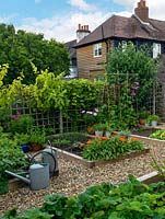 The vegetable garden with strawberries, salad leaves and herbs, with calendula as a companion plant to attract beneficial insects.