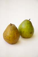 Harvested comice pears on white background