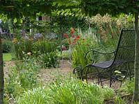 A pleached hornbeam hedge frames a view of a gravel garden with ornate metal bench. Planting includes Verbena bonariensis, Agapanthus, Persicaria and Crocosmia.