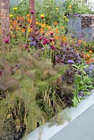 Ooooh ...it makes me wonder. Malvern Spring Gardening Show 2014, inspired by the classic Led Zeppelin song 'Stairway to Heaven', and the Giant's Causeway rock formation, with fennel, cirsium rivular 'atropurpureum, and centaurea - Designer: Teresa Rham - Sponsor: The Dingle Nurseries and Gardens