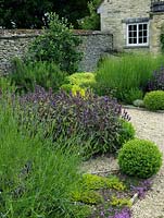 A walled herb garden planted with lavender, sage, oregano, rosemary and creeping thyme, interplanted with box balls and flanked by espaliered fruit trees.