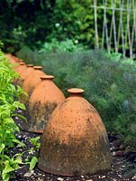 Forcing jars for rhubarb beside row of fennel. The two-acre, organic, walled kitchen garden at Le Manoir aux Quat'Saisons, conceived by celebrity chef, Raymond Blanc. 