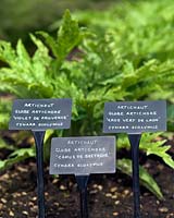 The two-acre, organic, walled kitchen garden at Le Manoir aux Quat'Saisons, conceived by celebrity chef, Raymond Blanc. Plant labels.