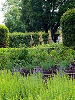 View across the herb garden. The two-acre, organic, walled kitchen garden at Le Manoir aux Quat'Saisons, conceived by celebrity chef, Raymond Blanc. 