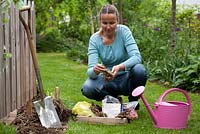 Planting Dahlias in bed.