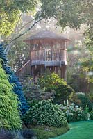 Tree house on a misty morning at Foggy Bottom, The Bressingham Gardens.