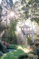 Treehouse on a misty autumn morning at Foggy Bottom, The Bressingham Gardens.