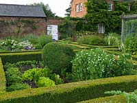In walled garden, potager of box-edged beds filled with flowers, topiary and vegetables. Near beds: peas, strawberries, lettuce, box, hardy geranium, crambe, roses, foxgloves, grasses.