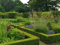 In walled garden, potager of box-edged beds filled with flowers, topiary and vegetables. Near beds - roses, hardy geranium, valerian and Stipa gigantea.