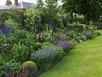 Herbaceous border - blue and green 