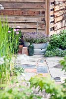 Lavandula, Heath, Myosotis, Astrantia. winterbarley and Anthriscus sylvestris planted in front of the shed.