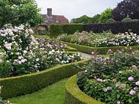 Shrub Rose Garden. Rosa Eglantyne, Erfurt, Mary Rose, Jacques Cartier, Brother Cadfael, Miss Alice, Cottage Rose, Comte de Chambord, St Swithun. Arch: Mdme Isaac Pereire.