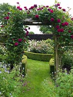 Arch clad in Rosa Falstaff leads from Spring to Shrub Rose gardens, spanning a grass path.