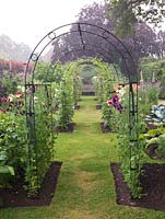 Potager. Metal tunnels, clad in sweet peas and runner beans, run down the centre of a formal scheme of beds filled with vegetables and flowers. Obelisks of sweet peas.
