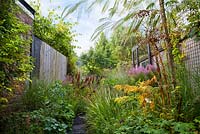 Path through late summer borders in narrow town garden. Astilbe chinensis var. taquetii 'Purpurlanze', Sesleria autumnalis, Calamintha nepeta 'Blue Cloud', Albizia julibrissin 'Ombrella', Geranium.