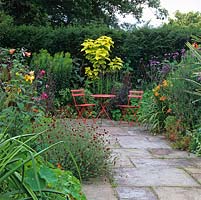 Hot garden of daylily, catalpa, nasturtium, Verbena bonariensis, Salvia involucrata, canna, Lilium African Queen and Knautia macedonica. Red painted table and chairs.