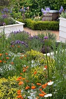 Bee hives, hive shaped raised beds, and plants for pollinators such as camassias, geum, allium and lavender. The Bees Knees garden in support of the Bumblebee Conservation Trust, Malvern Spring Gardening Show 2015. 