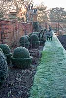 Frosty border of fun topiary shapes at Helmingham Hall, Suffolk