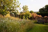 Moorwood Garden with wildflower area and Rosa Paul Transon
