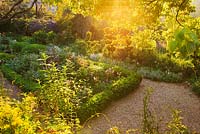 View of box-edged beds in french villa garden at sunrise