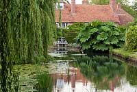 Gunnera manicata and weeping willow tree reflected in large pond
