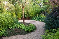 Gravel path curving through Rust Garden with metal bench and decorative metal spiral in the path. Borders planted with Acaena microphylla and Phyllostachys aureosulcata 'Spectabilis'