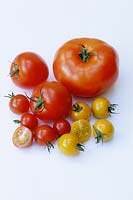 Tomatoes against white background beefsteak, ferrari, cherry and cherry sungold