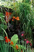 Tropical garden with miscanthus, bamboo, banana, canna, trachycarpus, dahlia 