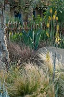 Sentebale - Hope in Vulnerability a garden inspired by the Lesotho landscape. A view to the small holding, plants include: Stipa tenuissima, Carex buchananii, Aloe vera, Kniphofia northiae and Quercus suber. 