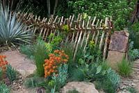 wooden fence with South African plant species.   - Sentebale - Hope in Vulnerability, RHS Chelsea Flower Show, 2015