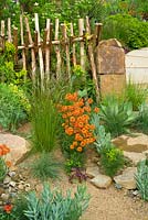 Sentebale - Hope in Vulnerability garden.  Wooden hurdle fence made of peeled chestnut poles with plants including Erysimum 'Apricot Twist', grasses and succulents
