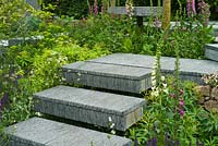 Hand-cut slate steps with planting including Salvia x sylvestris 'Mainacht', Digitalis purpurea, Euphorbia mellifera, Euphorbia amygdaloides var. Robbiae, Anthriscus sylvestris, Magnolia kobus, Mathiasella bupleuroides 'Green Dream', Erigeron karvinskianus. The Brewin Dolphin Garden. RHS Chelsea Flower Show, 2015