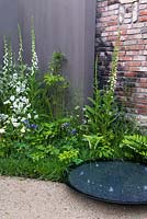 Circular black water feature and gravel, sand path surrounded by aquilegia vulgaris alba, digitalis purpurea alba, hesperis matronalis albiflora, aquilegia vulgaris, quercus robur sapling form against black and brick walls - The Living Legacy Garden - RHS  Chelsea Flower Show 2015